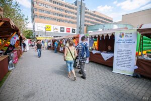 img_3695